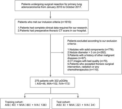 Radiomic-Based Quantitative CT Analysis of Pure Ground-Glass Nodules to Predict the Invasiveness of Lung Adenocarcinoma
